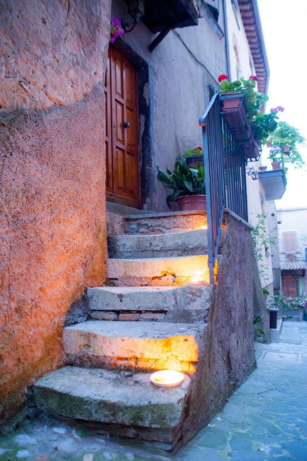 Casa Flora Βίλα Civitella dʼAgliano Εξωτερικό φωτογραφία