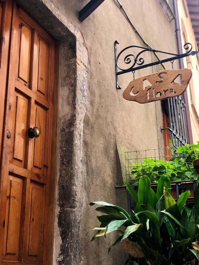 Casa Flora Βίλα Civitella dʼAgliano Εξωτερικό φωτογραφία
